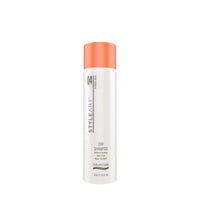 StyleArt Dry Shampoo